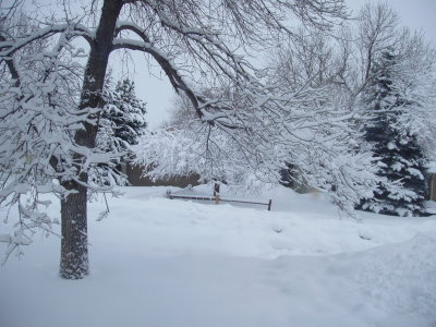 06SNO008.JPG