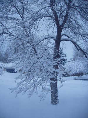06SNO011.JPG