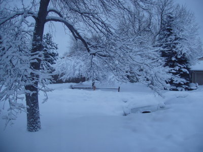 06SNO012.JPG