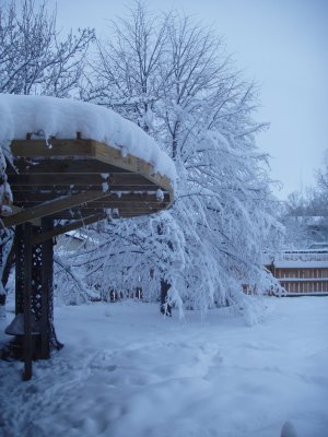 06SNO014.JPG