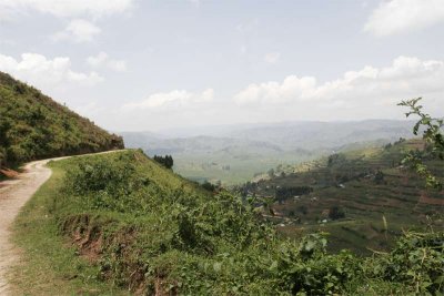 Road from Buhoma to Rubanda