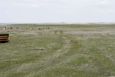 g6/97/733397/3/71906636.xWE0yhQV.jpg