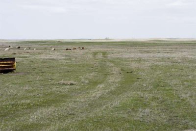 Remains of old RCMP pole road