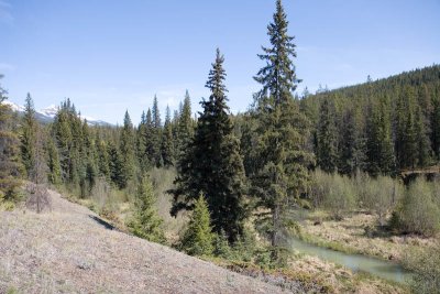 Creek near Jasper