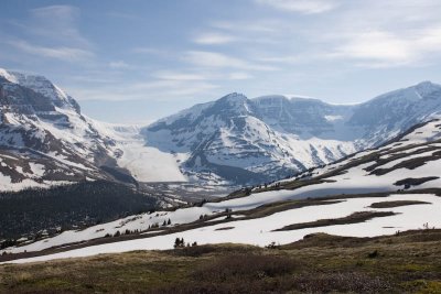 Athabaska Glacier from Wilcox Pass