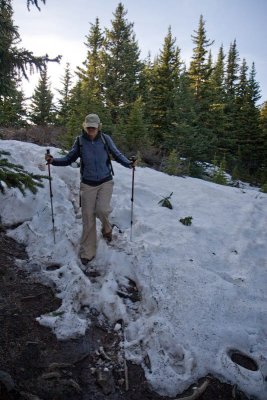 There was still snow in trail through woods
