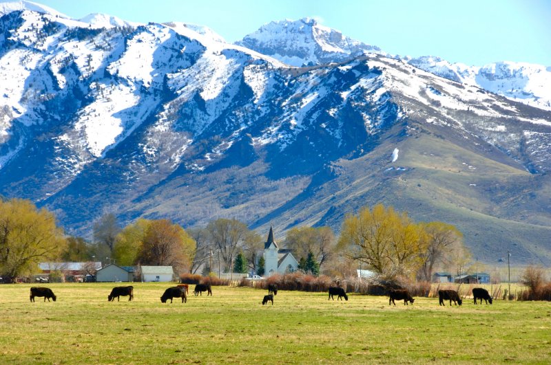 Ranching community