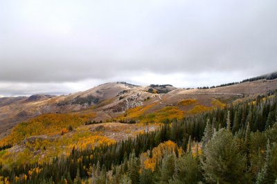 Bear Creek Road