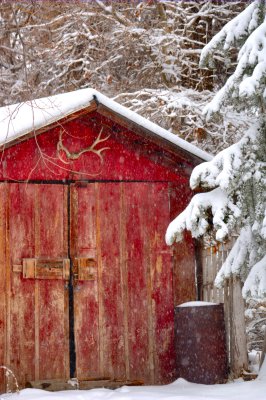 The Shed