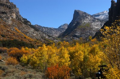 Ruby Dome Canyon