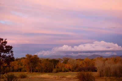 Nature's color scheme