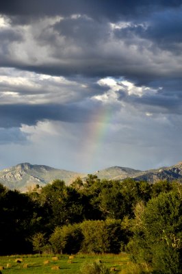 Pot o' Gold