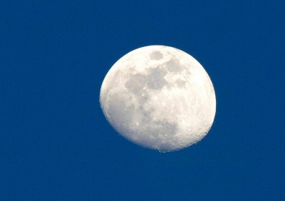 Vulture moon