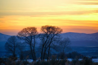 Spring sunset