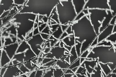 Frost lace patterns