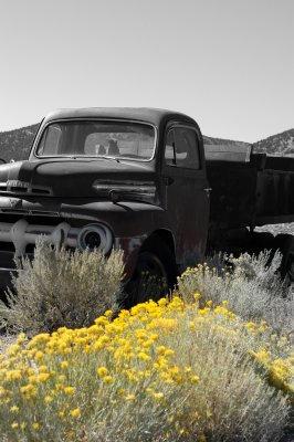 The Ford
