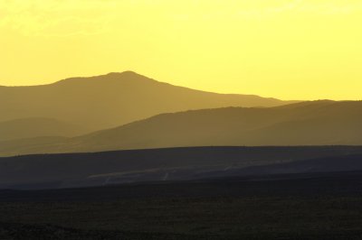 Shades of yellow   
