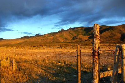 Fence posts    