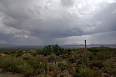 Storm in the Sonoran desert
