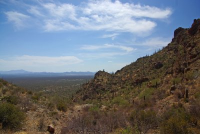 Sonoran Desert IMGP7646.jpg