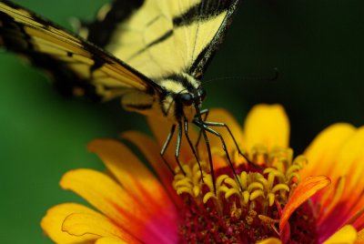 g6/97/761397/3/82396399.Tfdb1Zw4.jpg