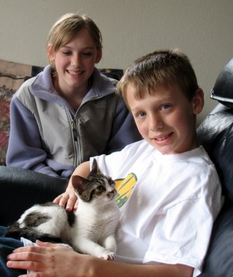 Our-new-kitty-Bella-018.jpg