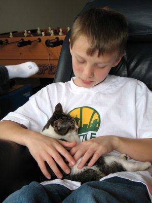 Our-new-kitty-Bella-033.jpg