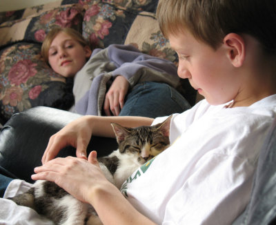 Our-new-kitty-Bella-034.jpg