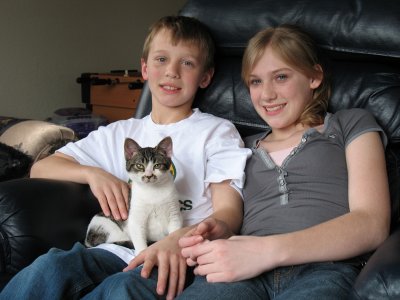 Our-new-kitty-Bella-041.jpg