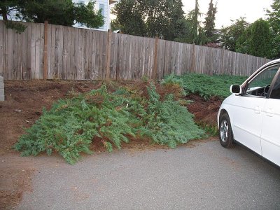 Retaining Wall 001.jpg