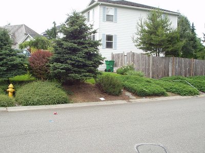 preliminary 011.jpg