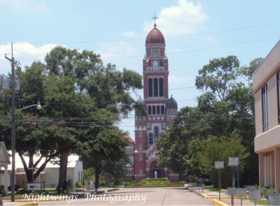 Cathederal of St John the Evangelist,     Lafayette, La.