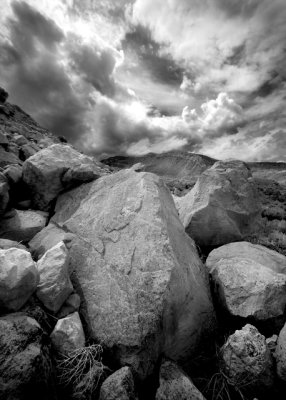 The Rock BW