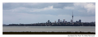 Auckland City - from the west
