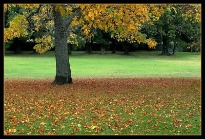 Early Autumn