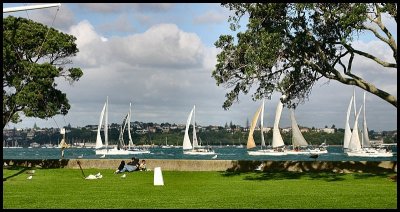 Yachts on the Waitemata Harbour