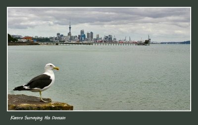 Auckland City