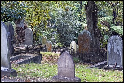 Grafton Gully part of the graveyard