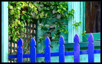 Blue Fence.jpg