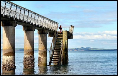 Reading on Murrays Bay Wharf.jpg
