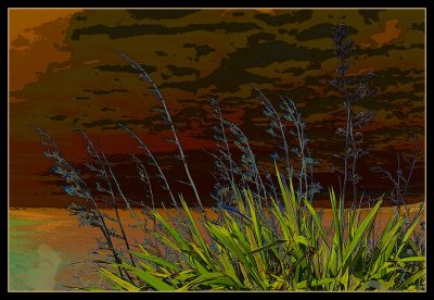 Solarise Poster edges 224a.jpg