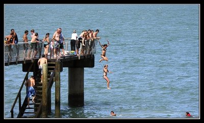 Fun at Murrays Bay Wharf 3.jpg