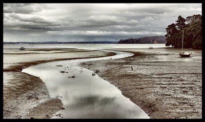 Coxs Bay Mudflats.jpg