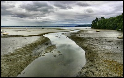 Mudflats at Coxs Creek.jpg