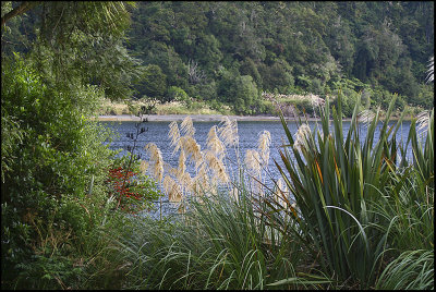 Early Morning Lake Waikaremoana.jpg