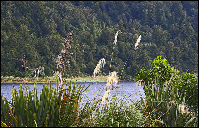 Lake Waikaremoana Early Morning.jpg