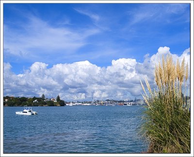 Auckland City from Bayswater.jpg