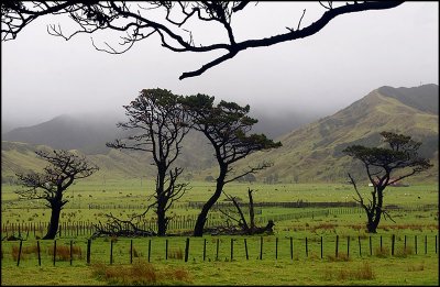 East Cape on a stormy day.jpg