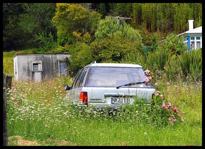 Hokianga Wreck