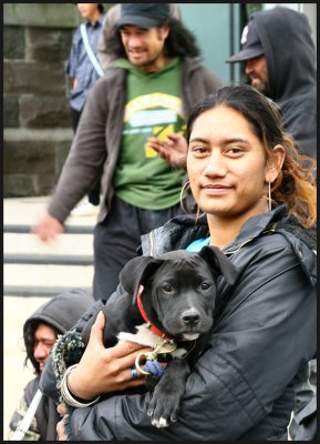 Puppy at Open Air Concert